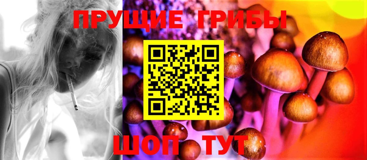 Псилоцибиновые грибы GOLDEN TEACHER  где найти   Москва  Вход с VPN 